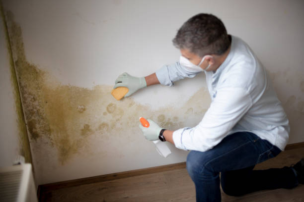 Best Commercial Mold Inspection  in Monument Beach, MA